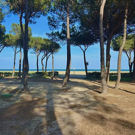 Apartment T3 A 50m De La Plage, - Fr-1-388-234