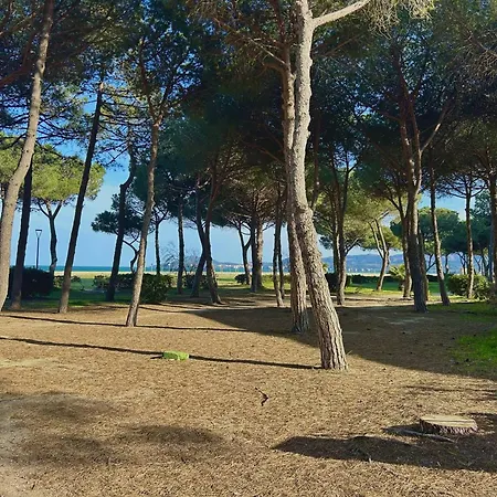 T3 A 50m De La Plage, - Fr-1-388-234 *